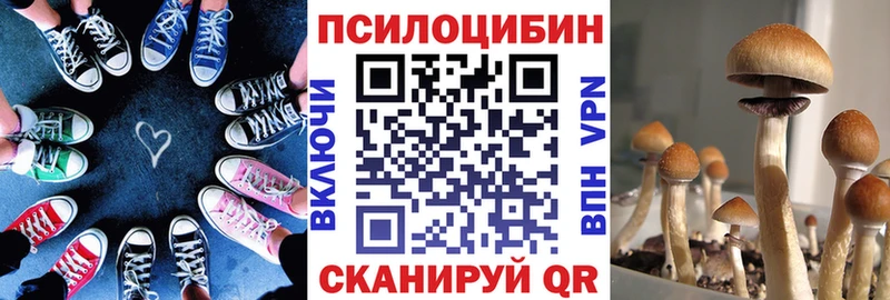 Галлюциногенные грибы Psilocybe  Константиновск 